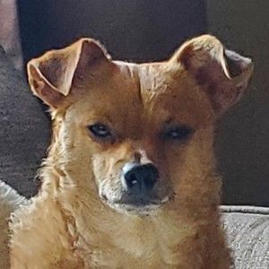 Meet your Posher, April